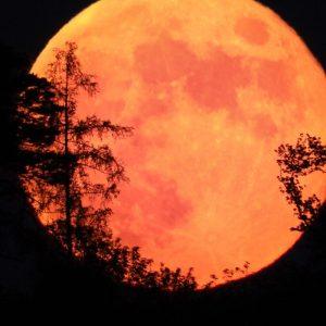 Ar Mėnulis rūdyja? Kinijos Chang’e-6 misija atskleidžia šokiruojančius radinius