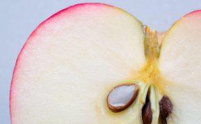 Ar obuolių sėklos yra pavojingos sveikatai: ką reikia žinoti