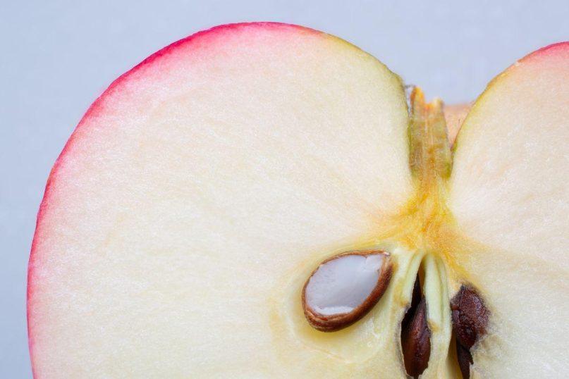 Ar obuolių sėklos yra pavojingos sveikatai: ką reikia žinoti
