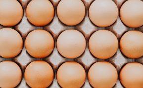 Ar reikėtų plauti vištų kiaušinius prieš jų saugojimą: ekspertų nuomonė