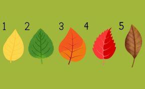 Asmenybės testas, atskleidžiantis, kokia sėkmė tavęs laukia gyvenime