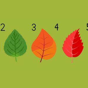 Asmenybės testas, atskleidžiantis, kokia sėkmė tavęs laukia gyvenime