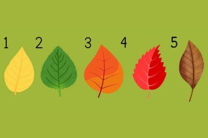 Asmenybės testas, atskleidžiantis, kokia sėkmė tavęs laukia gyvenime