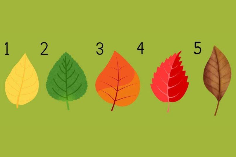 Asmenybės testas, atskleidžiantis, kokia sėkmė tavęs laukia gyvenime