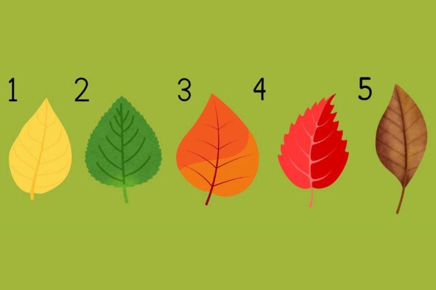 Asmenybės testas, atskleidžiantis, kokia sėkmė tavęs laukia gyvenime