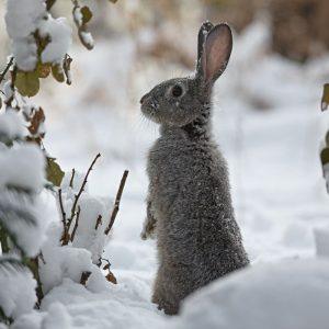 Atskleidė 6 dalykus, kuriuos turėtumėte paleisti dar šį gruodį, kad būtųmėte laimingesni