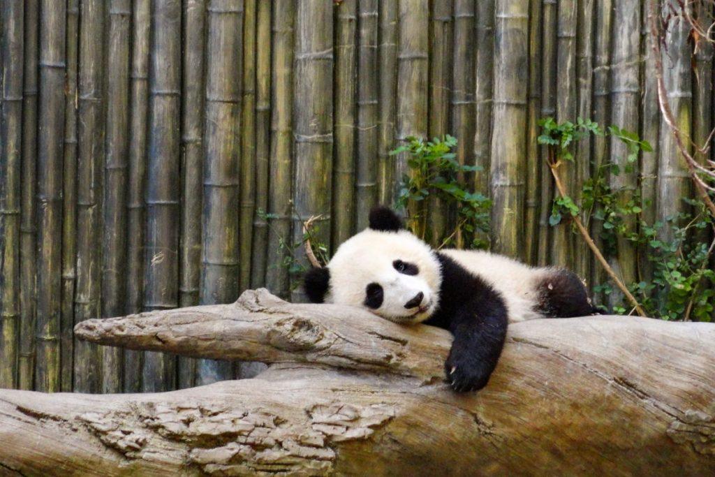 Atskleidė 6 dalykus, kuriuos turėtumėte paleisti dar šį gruodį, kad būtųmėte laimingesni. Tinginystė