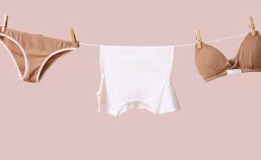 Audinių minkštiklių geriau nenaudoti! Jie gadina apatinius drabužius