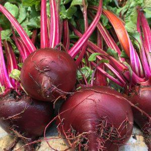 Burokėliai: nauda sveikatai ir galimi šalutiniai poveikiai