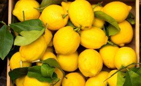 Citrinų nauda ir žala organizmui: jei sergate šiomis ligomis, jų geriau atsisakyti