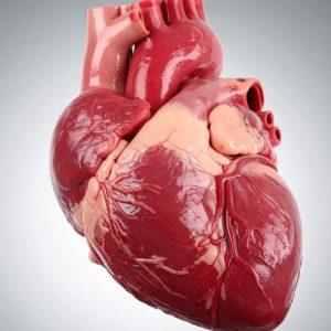 Gydytoja išvardino produktus, kurie kenkia širdžiai ir kraujagyslėms