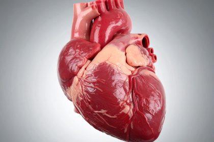 Gydytoja išvardino produktus, kurie kenkia širdžiai ir kraujagyslėms