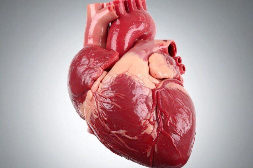 Gydytoja išvardino produktus, kurie kenkia širdžiai ir kraujagyslėms