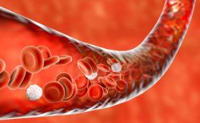 Gydytojas paaiškino, koks maistas tirština kraują