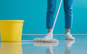 Į kibirą vandens  įdedu 3 šaukštus šios priemonės, ir ant grindų niekada nebūna dryžių!