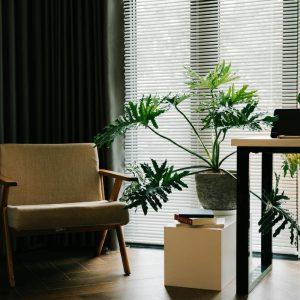 Išradingi būdai, kaip palaistyti augalus, kai namuose nieko nėra