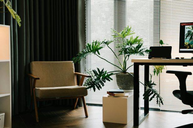 Išradingi būdai, kaip palaistyti augalus, kai namuose nieko nėra