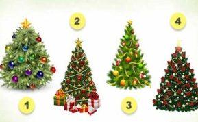 Išsirinkite eglutę ir sužinokite, kokie metai jūsų laukia!