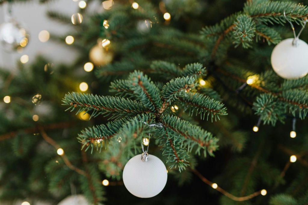 Išsirinkite eglutę ir sužinokite, kokie metai jūsų laukia! 3 eglutė