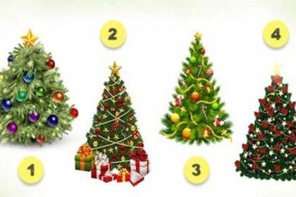 Išsirinkite eglutę ir sužinokite, kokie metai jūsų laukia!