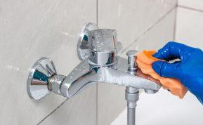 Išvalius vonią, viską apipurkškite šia priemone. Apsaugo nuo muilo nuosėdų daugelį dienų