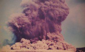 JAV žvalgyba pirmą kartą patvirtina – Donaldas Trumpas buvo teisus