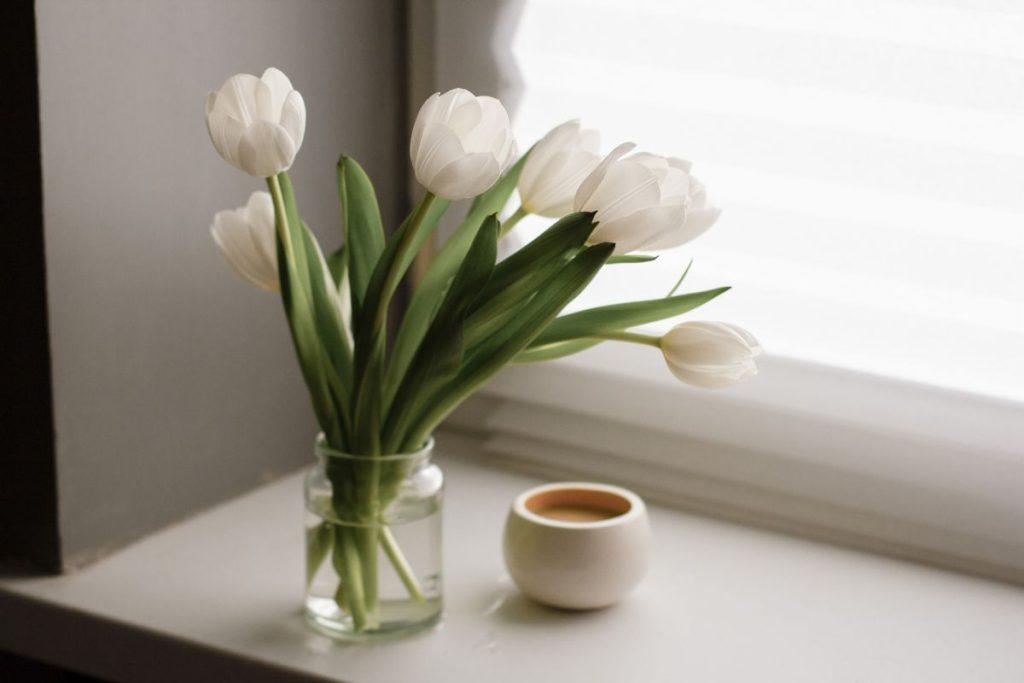 Ką daryti, kad tulpės vazoje išsilaikytų ilgiau? Visi turėtų žinoti šį triuką! Kaip tinkamai paruošti tulpes