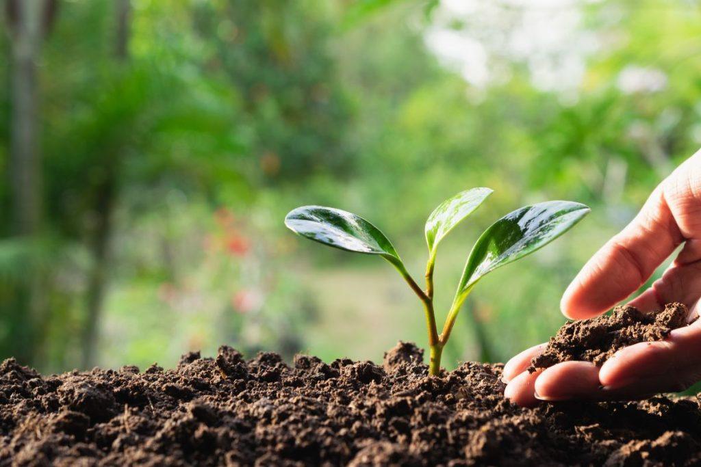 Ką reikia daryti, kad į jūsų gyvenimą plūstų gausybė ir laimė. Pagarba ir atsakomybė už savo gyvenimą