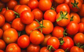 Ką reiškia sapnuoti pomidorus?