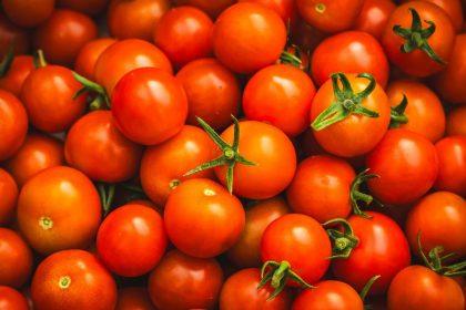 Ką reiškia sapnuoti pomidorus?