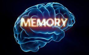 Ką valgyti, kad būtų gera atmintis: gydytoja įvardijo produktus