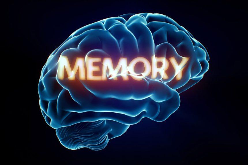 Ką valgyti, kad būtų gera atmintis: gydytoja įvardijo produktus