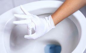 Kaip atkurti baltumą tualetui be brangių produktų: efektyvūs metodai