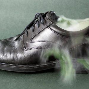 Kaip atsikratyti blogo batų kvapo? Šį būdą rekomenduoja batų pardavėjai