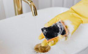 Kaip dezinfekuoti indų plovimo kempinėlę? Paprasti, tačiau veiksmingi patarimai