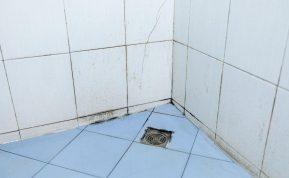 Kaip pašalinti pelėsį vonioje: paprastas, tačiau veiksmingas būdas