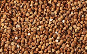 Kaip pasikeistų jūsų organizmas, jei kasdien valgytumėte grikius?