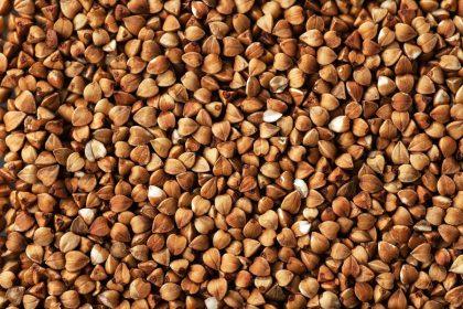 Kaip pasikeistų jūsų organizmas, jei kasdien valgytumėte grikius?