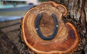 Kaip pritraukti sėkmę: 5 dalykai, kuriuos reikia visada nešiotis kišenėje