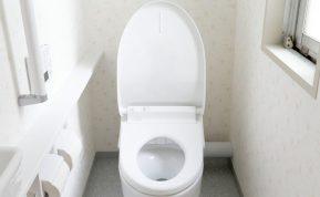 Kaip sukurti idealią švarą tualete? Jums prireiks tik vienos paprastos priemonės