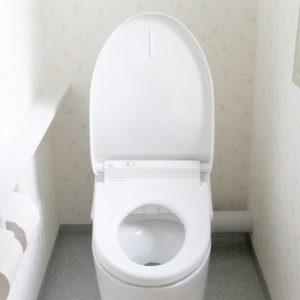 Kaip sukurti idealią švarą tualete? Jums prireiks tik vienos paprastos priemonės