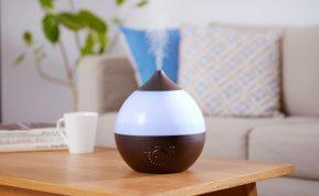 Kaip teisingai naudoti oro drėkintuvą žiemą ir kodėl jis naudingas