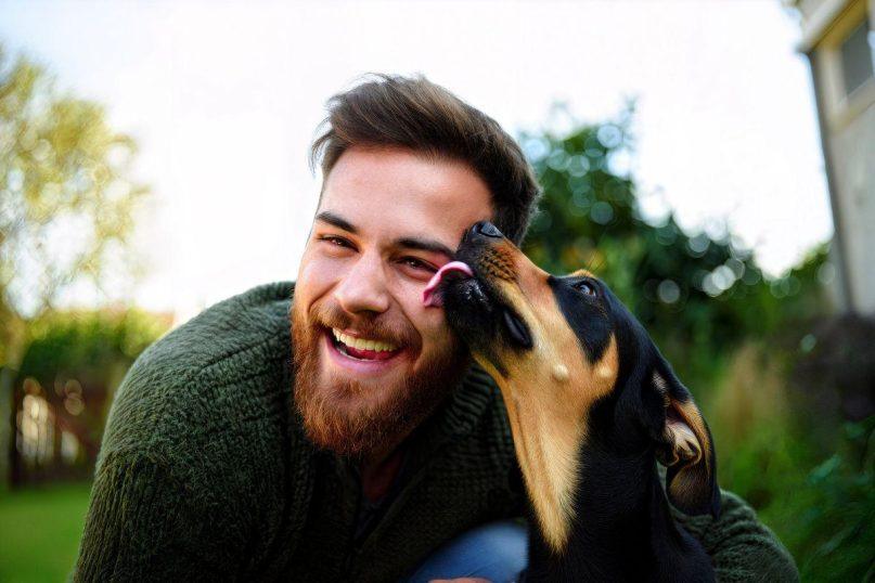 Kaip tinkamai nustatyti ribas: kodėl verta drausti šuniui laižyti veidą