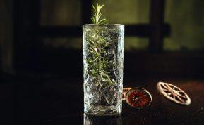 Kaip užauginti rozmariną iš šakelių vandenyje?