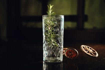 Kaip užauginti rozmariną iš šakelių vandenyje?