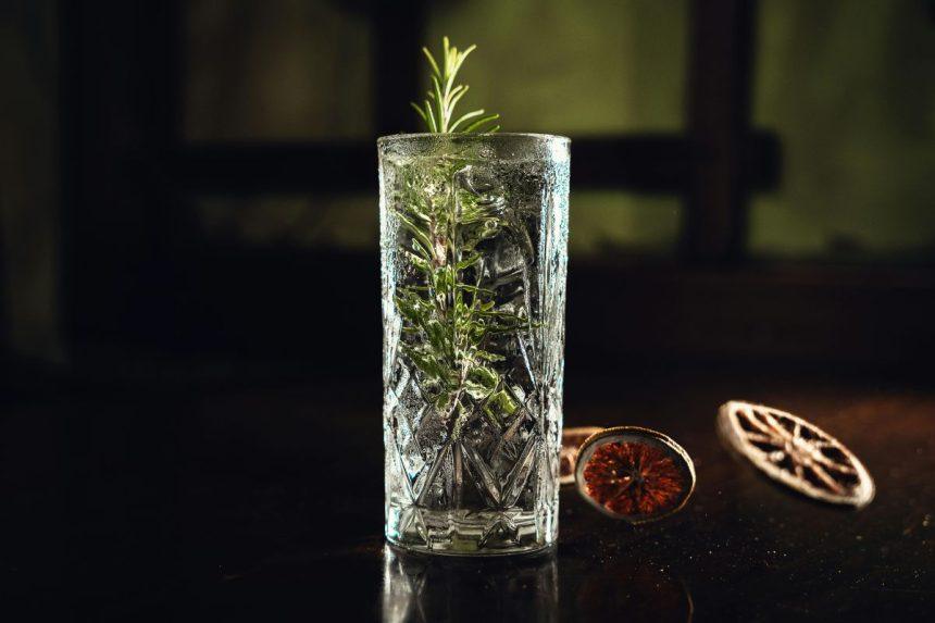 Kaip užauginti rozmariną iš šakelių vandenyje?