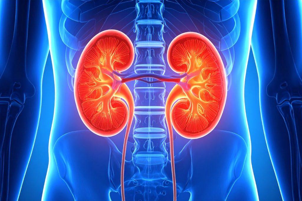 Kam naudojama aktyvuota anglis? Sąrašas problemų, kurias ji gali išspręsti! Inkstų sveikatai