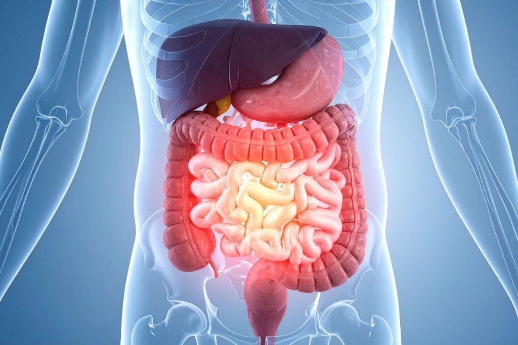 Kas atsitiks, jei bent kartą per savaitę valgysite salierą? Jūsų kūnas jums padėkos! Geresnis virškinimas
