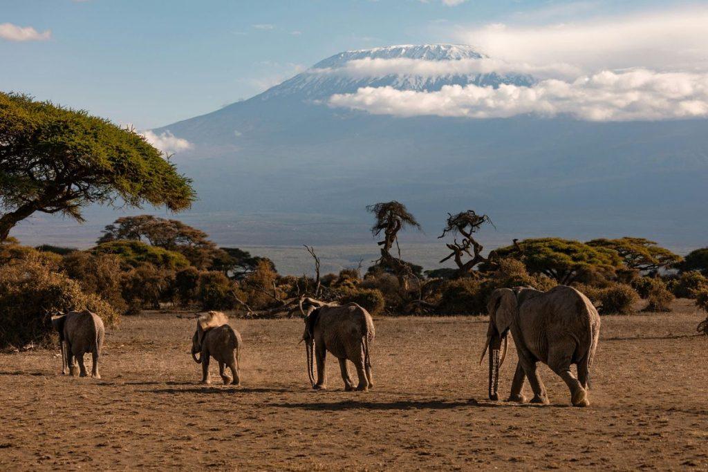 Kenija: safaris ir tropikų paplūdimiai tobulai tiks žiemos atostogoms