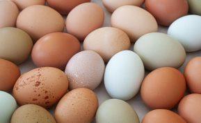 Kepti ar virti: koks kiaušinių ruošimo būdas pats kenksmingiausias
